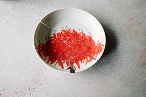Plates